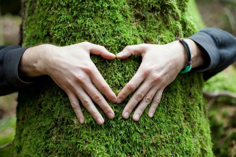 Brakuje odpowiedniej edukacji w temacie zmian klimatycznych